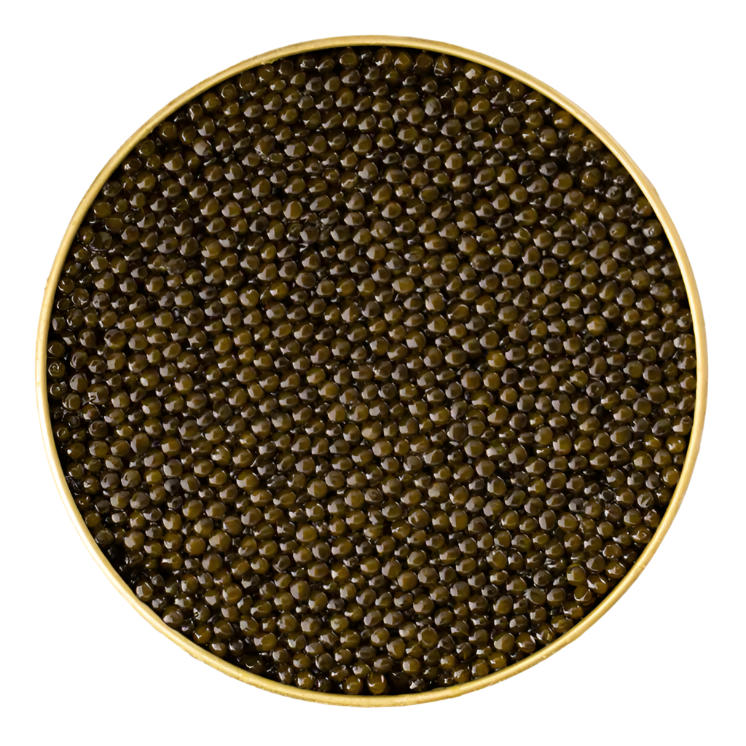 CATES Black Osetra Caviar