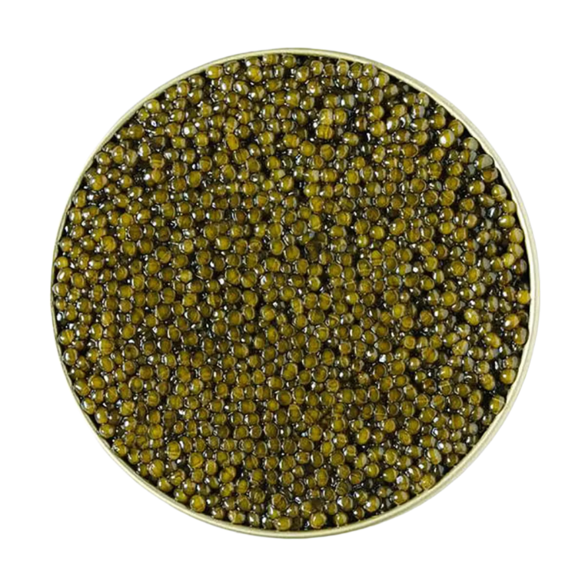 CATES Platinum Osetra Caviar